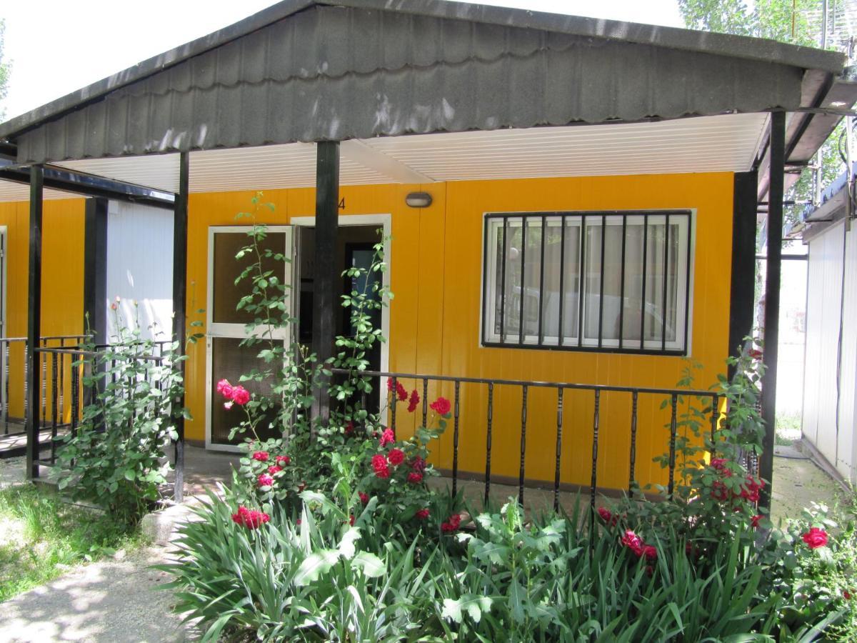 חטאפה Bungalows Alpha מראה חיצוני תמונה