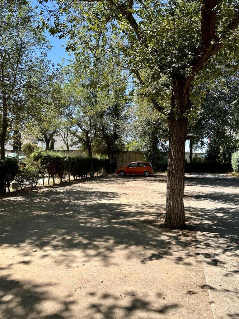 חטאפה Bungalows Alpha מראה חיצוני תמונה